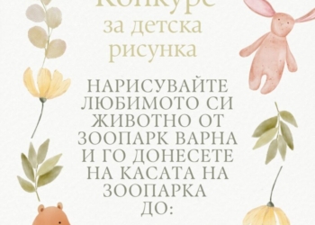 Детски талант в помощ на дивата природа: Зоопарк Варна обявява конкурс за рисунка