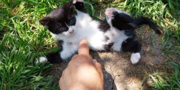 ДоброЛЕК и дружина стават на една година, канят гости на пижамено парти във Варна