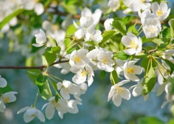 Април е вторият най-топъл в света – още един месец над допустимите 1,5°C