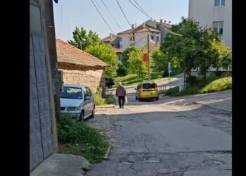 Шуменска улица сред зеленина – забравена от институциите, но не и от жителите
