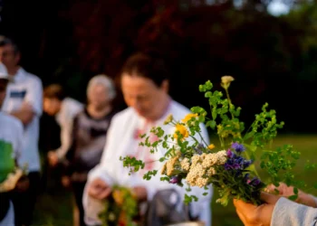 Заради голямата котка в Шуменското плато, отмениха фестивала „Зелени слънца“, посветен на Еньовден