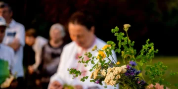 Заради голямата котка в Шуменското плато, отмениха фестивала „Зелени слънца“, посветен на Еньовден