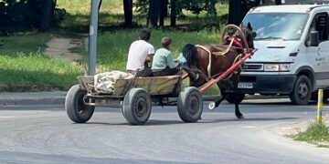 Варненка: Предпочитам екзотиката с конски впряг пред опасните прелитащи тротинетки