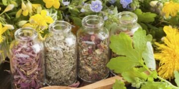 Фармацевтите празнуват днес професионален празник