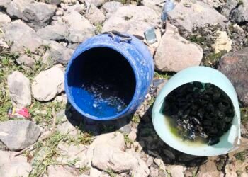 Нарушител заловен с 22 кг миди във Варненското езеро