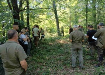 Хижи, навеси и столови излизат на търг: СИДП спасява бюджета с разпродажба