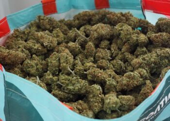 Четири килограма наркотици са иззети и трима са задържани при спецоперация срещу наркоразпространението в Русе