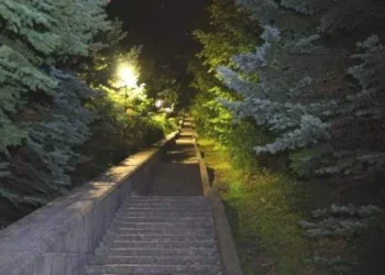 Леопардът е забелязан отново на Шуменското плато