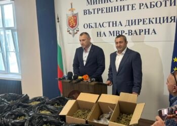 Марихуана за четвърт милион лв. е намерена и иззета при акция на ОДМВР Варна