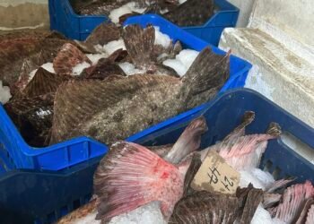 Калканът от 20 лв. до 35 лв. по борсите край морето