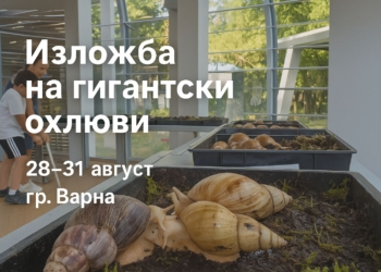 Изложба на гигантски африкански охлюви във Варна
