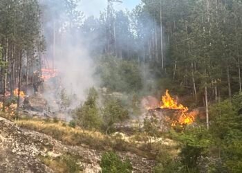 Детска игра с пиратки предизвика горски пожар на Шуменското плато (СНИМКИ)