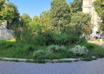 Емблема на Варна тъне в мизерия – критики за състоянието на Шишкова градинка