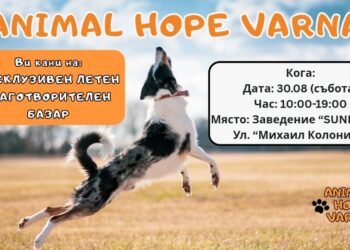 ANIMAL HOPE VARNA с екслузивен летен благотворителен базар на 30 август, нека ги подкрепим!