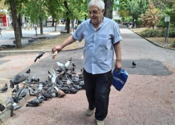 Малък жест на шуменец трогна десетки: Грижа за гълъбите и пример за доброта