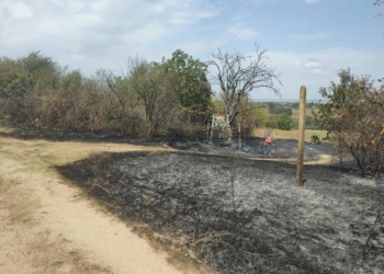 Пожарът край село Звездица овладян: Пожарникари, доброволци и общината спасиха района