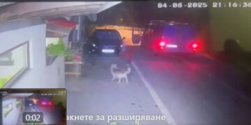 Жестокост без причина: Задържаха изверг за зверско убийство на куче в Тетевен