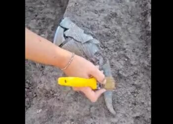 Изключително рядък стъклен ритон открит край село Блъсково (ВИДЕО)