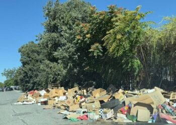 “Море от боклук” залива Зеленчуковата борса във Варна – жегата прави миризмата непоносима (СНИМКИ)