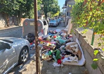 Препълнени контейнери с боклук във Варна – август 2025
