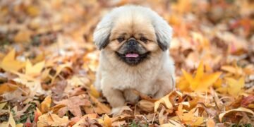 Отива си лятото, идва есента!