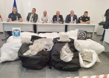Предотвратиха трафик на марихуана за около 12 милиона лева през ГКПП „Капитан Андреево“, задържаха турски гражданин (ВИДЕО)