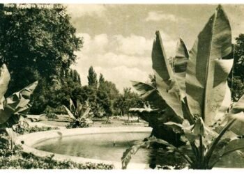 Киновечер във Варна разказва за Антон Новак – създателя на Морската градина