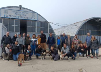 Кучетата от приюта в Каменар получиха нови къщички