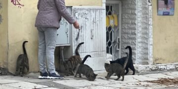 Среща под мотото “ЗаДОМи безДОМниче” събира хора с големи сърца във Варна