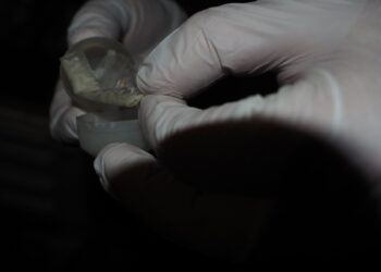 Седем души задържани при акция срещу наркоразпространението във Варна