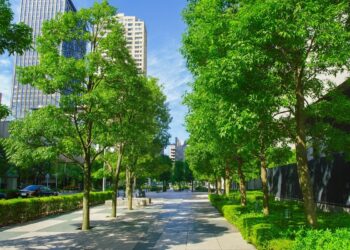 Градска алея с високи зелени дървета и модерни сгради на заден план, показваща как зеленината осигурява сянка и прохлада в градската среда.