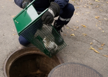 Пожарникар спасява малко коте, паднало в шахта, с помощта на метален капан в Шумен.