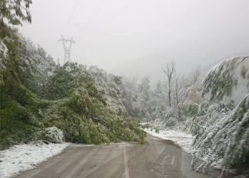 Временна организация на движението на АМ „Тракия” и АМ „Хемус“ поради влошените  метеорологични условия