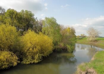 Басейнова дирекция „Източнобеломорски район“ изиска струпаният асфалтов отпадък на брега на река Тунджа да бъде премахнат