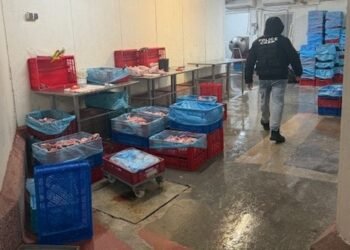 Откриха над 70 тона пилешко месо с неясен произход