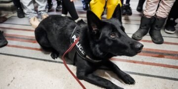 Полицейското куче Принцес впечатли варненци в Деня на отворените врати на МВР