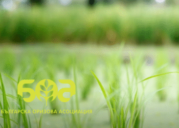 Още две браншови организации обявиха, че прекратяват членството си в Българската аграрна камара