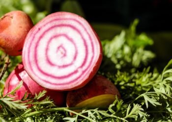 Богатствата на есента: Ряпата – вкусна и полезна!