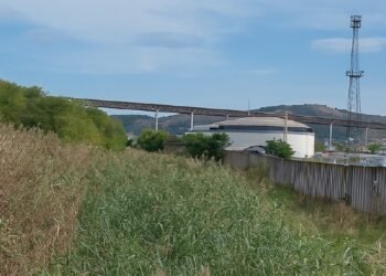 Обрасъл с тръстика участък от Белия канал в Девня, до индустриална зона с резервоари и метална ограда, под ясно синьо небе.