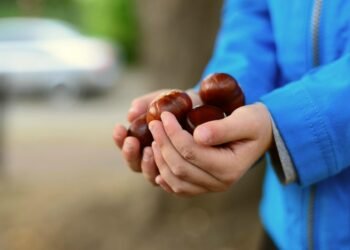 Богатствата на есента: Кестените помагат на храносмилателната ни система, сърцето и мозъка