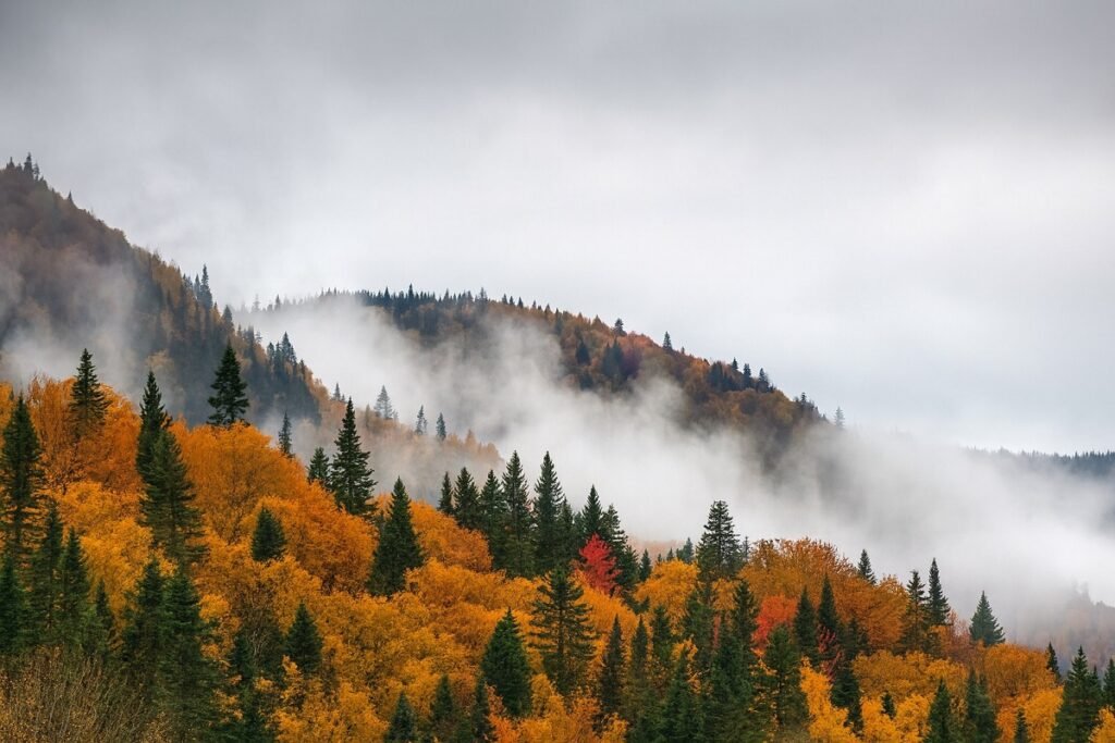 Мъглива есенна планина с гъсти облаци над цветни гори в жълто и оранжево, символизираща динамично есенно време в България.