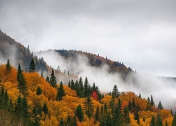 Мъглива есенна планина с гъсти облаци над цветни гори в жълто и оранжево, символизираща динамично есенно време в България.