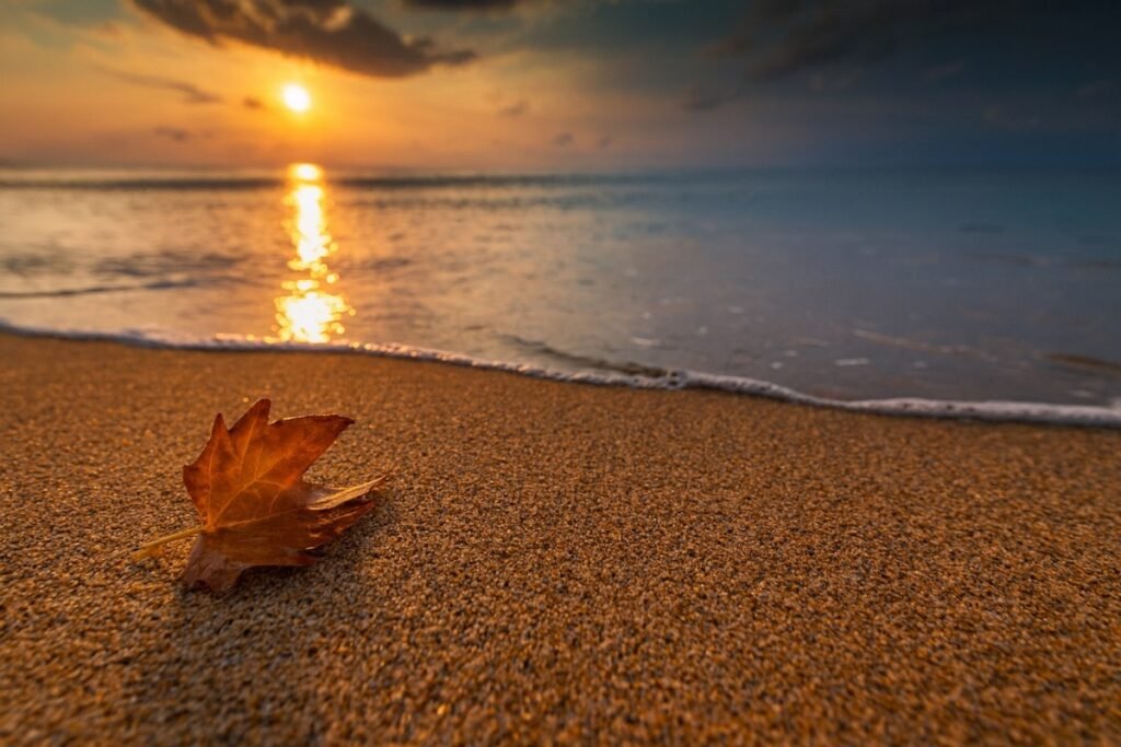 Есенен лист върху пясъчен морски бряг при залез по Черноморието