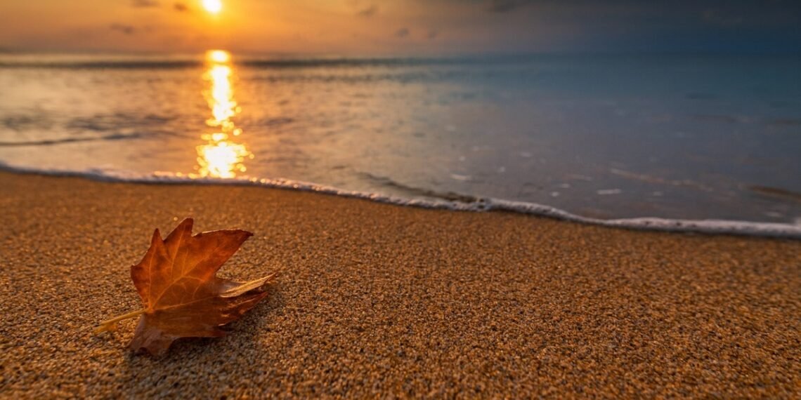 Есенен лист върху пясъчен морски бряг при залез по Черноморието