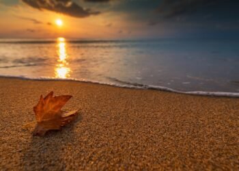 Есенен лист върху пясъчен морски бряг при залез по Черноморието