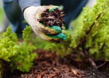 Как да подготвим градината за есенно-зимния сезон: лесни стъпки за здрава и красива пролет