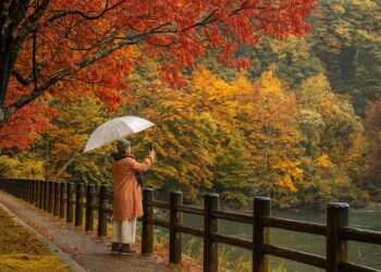 Жена с прозрачен чадър снима есенната гора край езеро; ярки червени, жълти и оранжеви листа покриват дърветата и алеята, създавайки живописен есенен пейзаж.