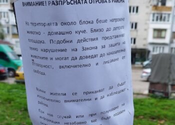Жители на район „Младост“ във Варна алармират: Разпръсната отрова до детска площадка – натровено куче и опасност за децата
