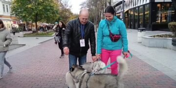 Протест във Варна за справедливост за кучето Мая: Граждани настояват за строги наказания и промени в закона