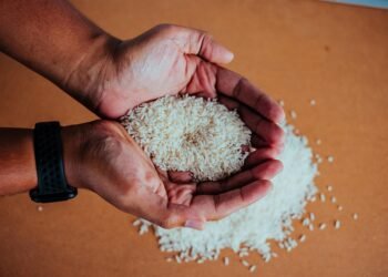 Най-скъпият ориз в света – японски деликатес за 200 лева килограма, който се разпродава за часове